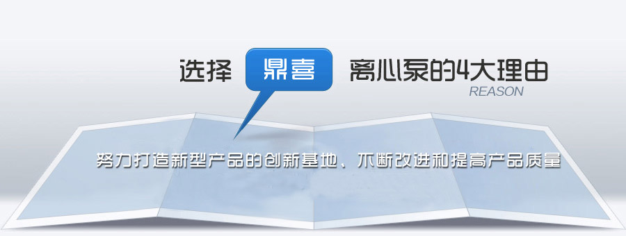 ѡ������ʢ�������������